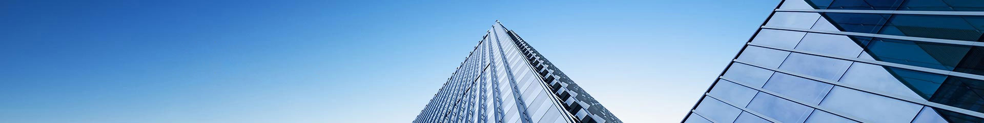 青岛枫林食品机械有限公司